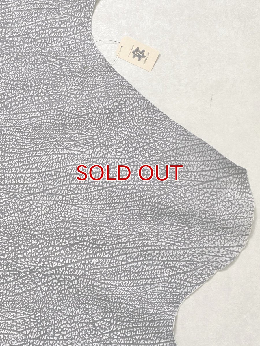 画像4: アンテロープ　 (4)