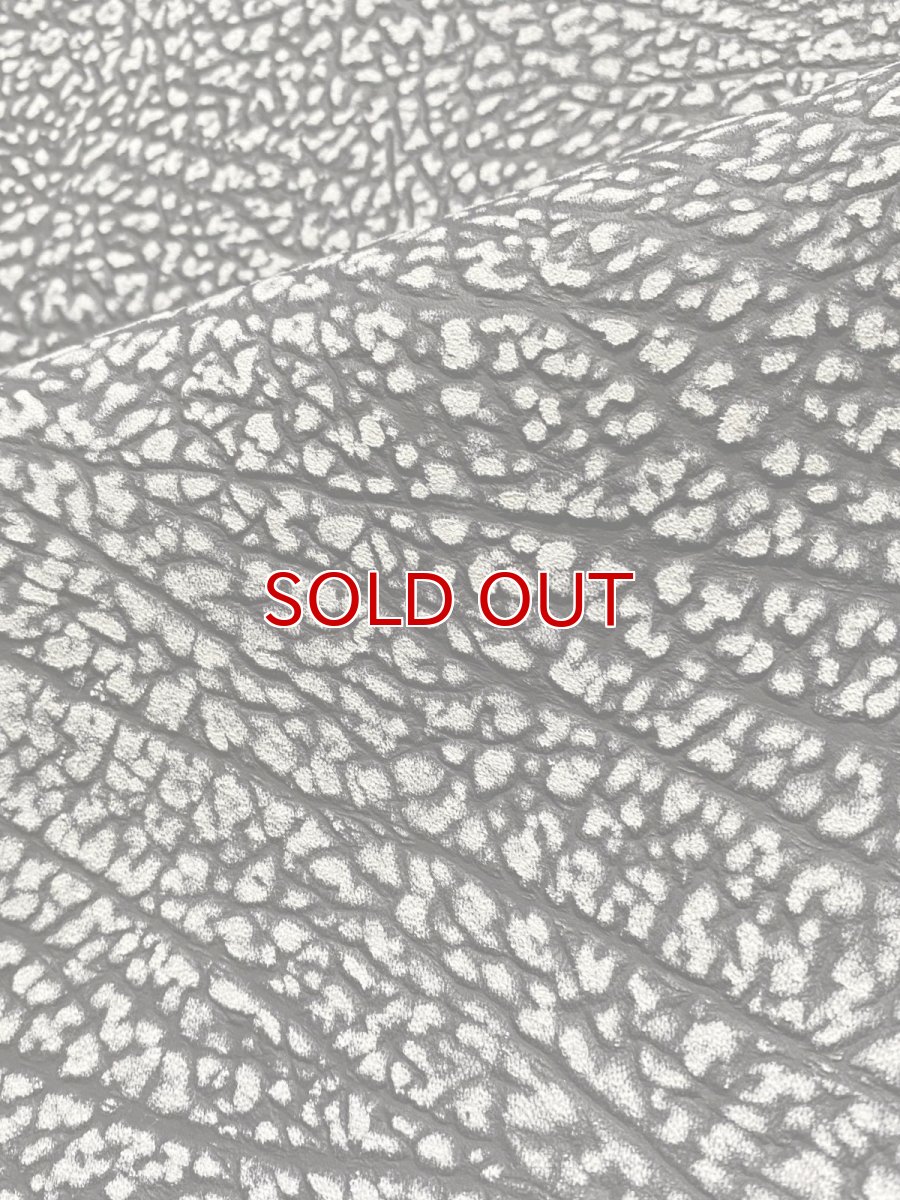 画像8: アンテロープ　 (8)