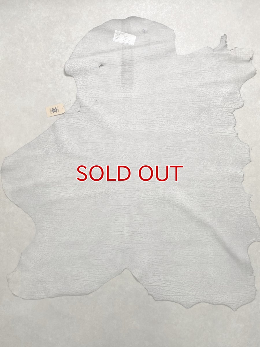 画像10: アンテロープ　 (10)