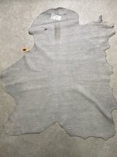 画像10: アンテロープ　 (10)