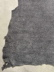 画像4: アンテロープ　 (4)