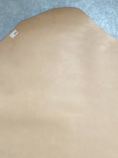 画像3: 牛革   ニッピヌメ　栃木レザー　タンニン (3)