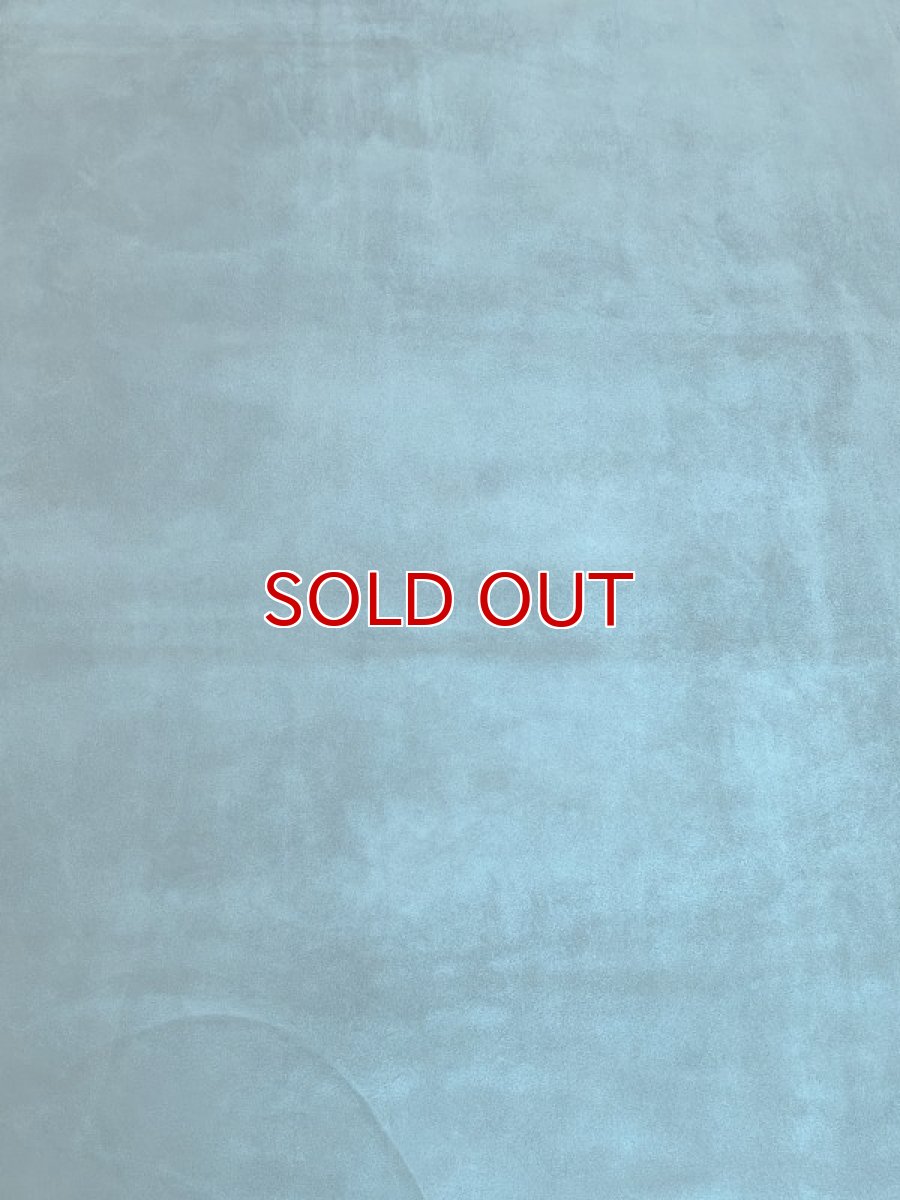 画像3: ベロア　ターコイズ (3)