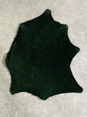 画像1: 牛革　ハチノス(牛の胃袋)　グリーン (1)