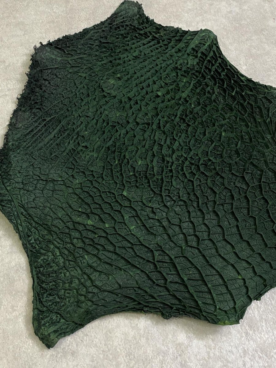 画像2: 牛革　ハチノス(牛の胃袋)　グリーン (2)