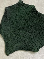 画像2: 牛革　ハチノス(牛の胃袋)　グリーン (2)