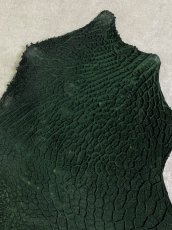 画像3: 牛革　ハチノス(牛の胃袋)　グリーン (3)