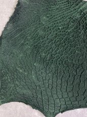 画像4: 牛革　ハチノス(牛の胃袋)　グリーン (4)