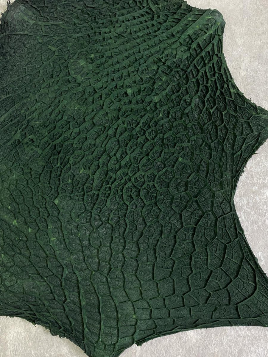 画像5: 牛革　ハチノス(牛の胃袋)　グリーン (5)