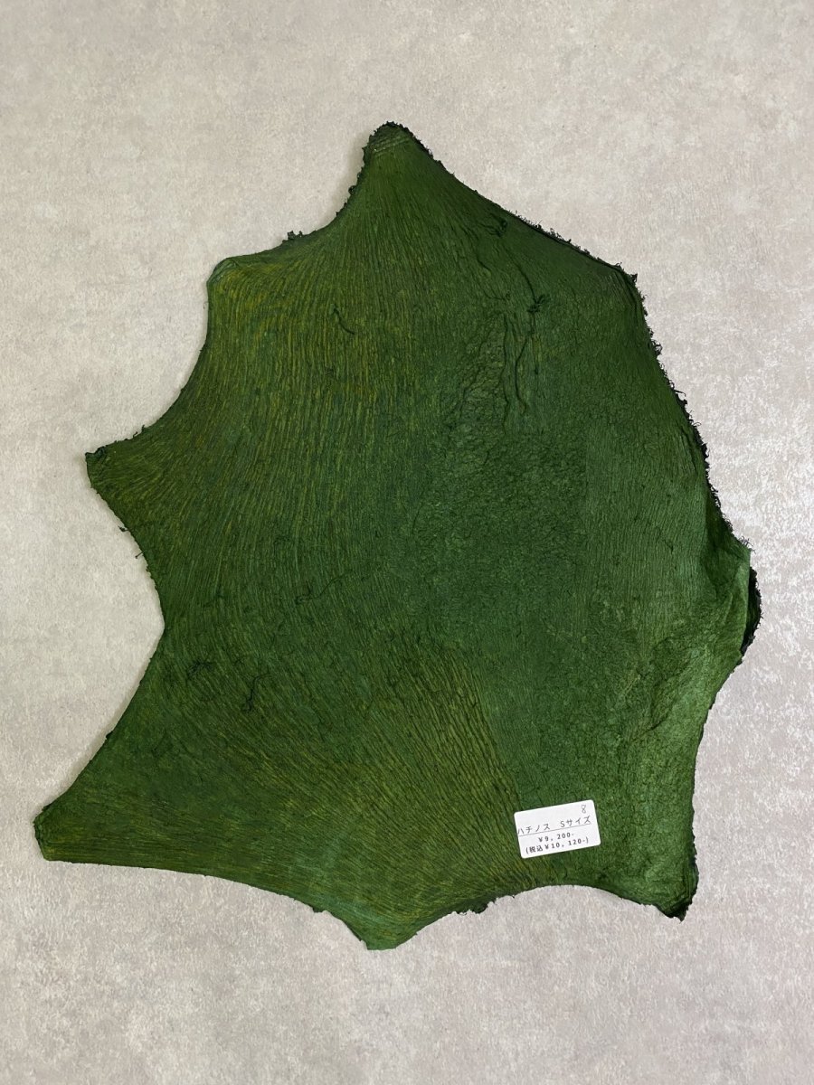 画像9: 牛革　ハチノス(牛の胃袋)　グリーン (9)