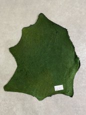 画像9: 牛革　ハチノス(牛の胃袋)　グリーン (9)
