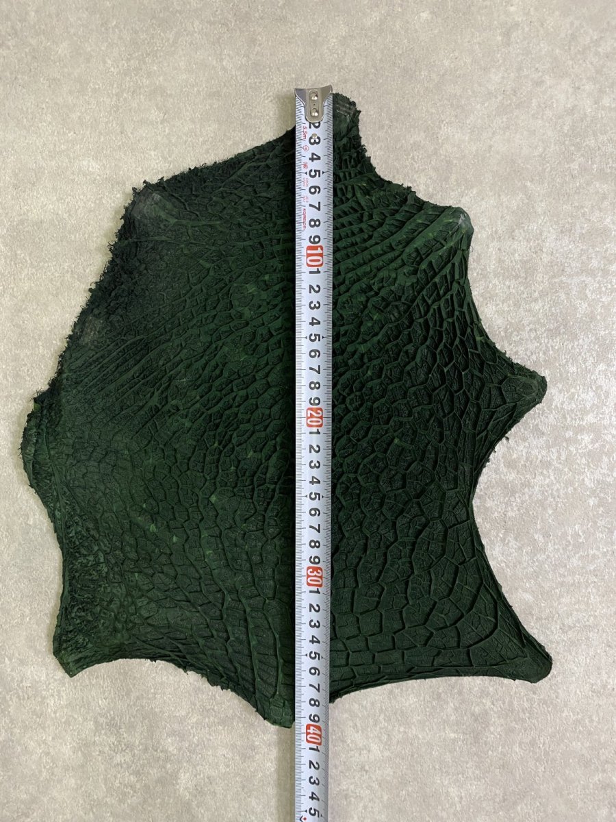 画像7: 牛革　ハチノス(牛の胃袋)　グリーン (7)