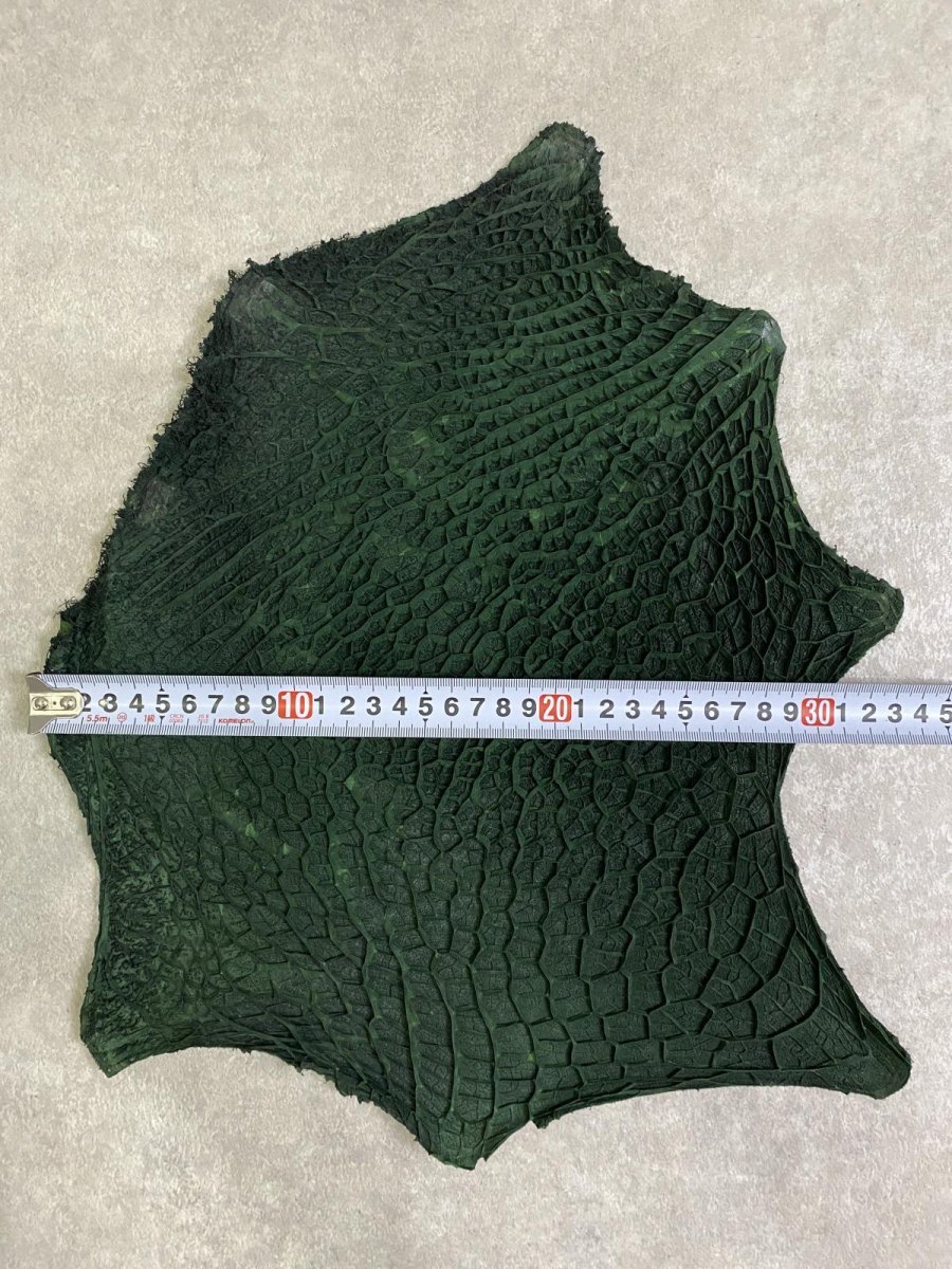 画像8: 牛革　ハチノス(牛の胃袋)　グリーン (8)