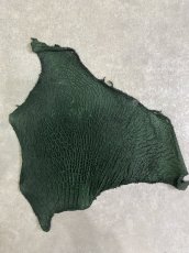 画像1: 牛革　ハチノス(牛の胃袋)　グリーン (1)