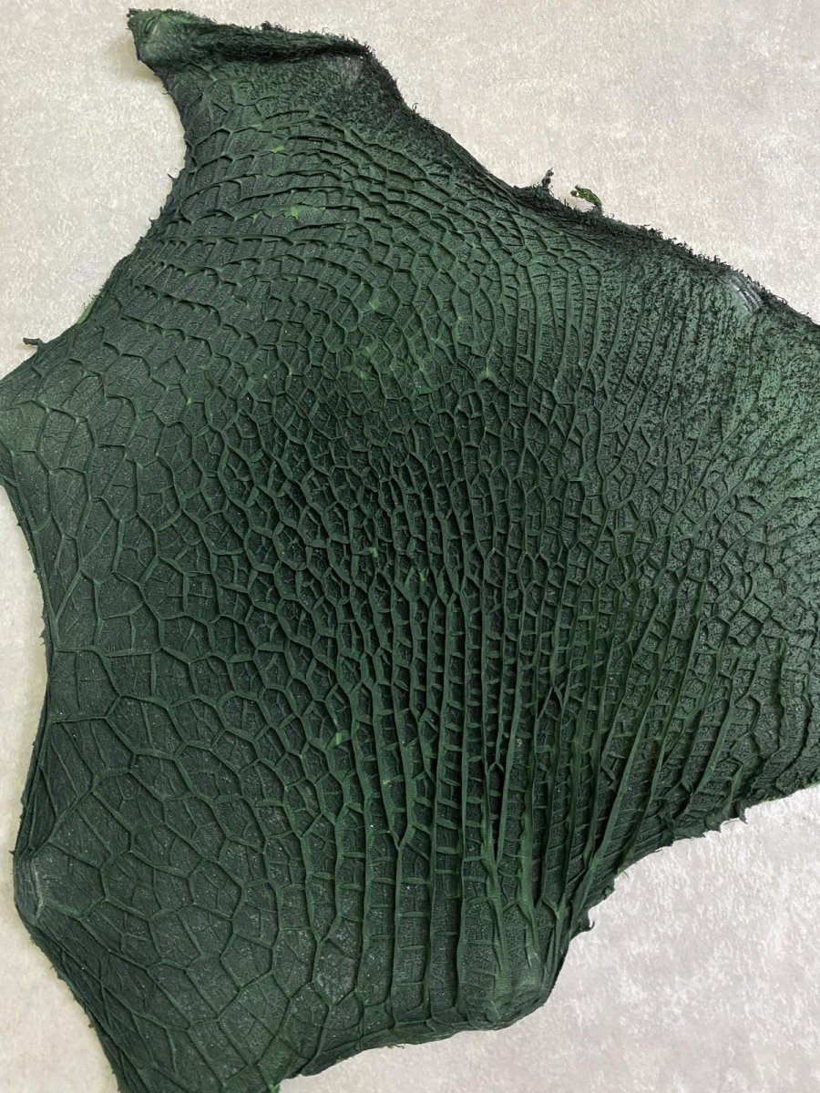 画像2: 牛革　ハチノス(牛の胃袋)　グリーン (2)