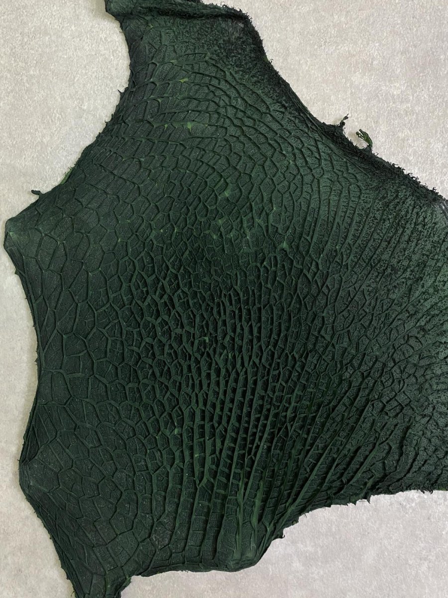 画像3: 牛革　ハチノス(牛の胃袋)　グリーン (3)