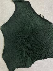画像3: 牛革　ハチノス(牛の胃袋)　グリーン (3)