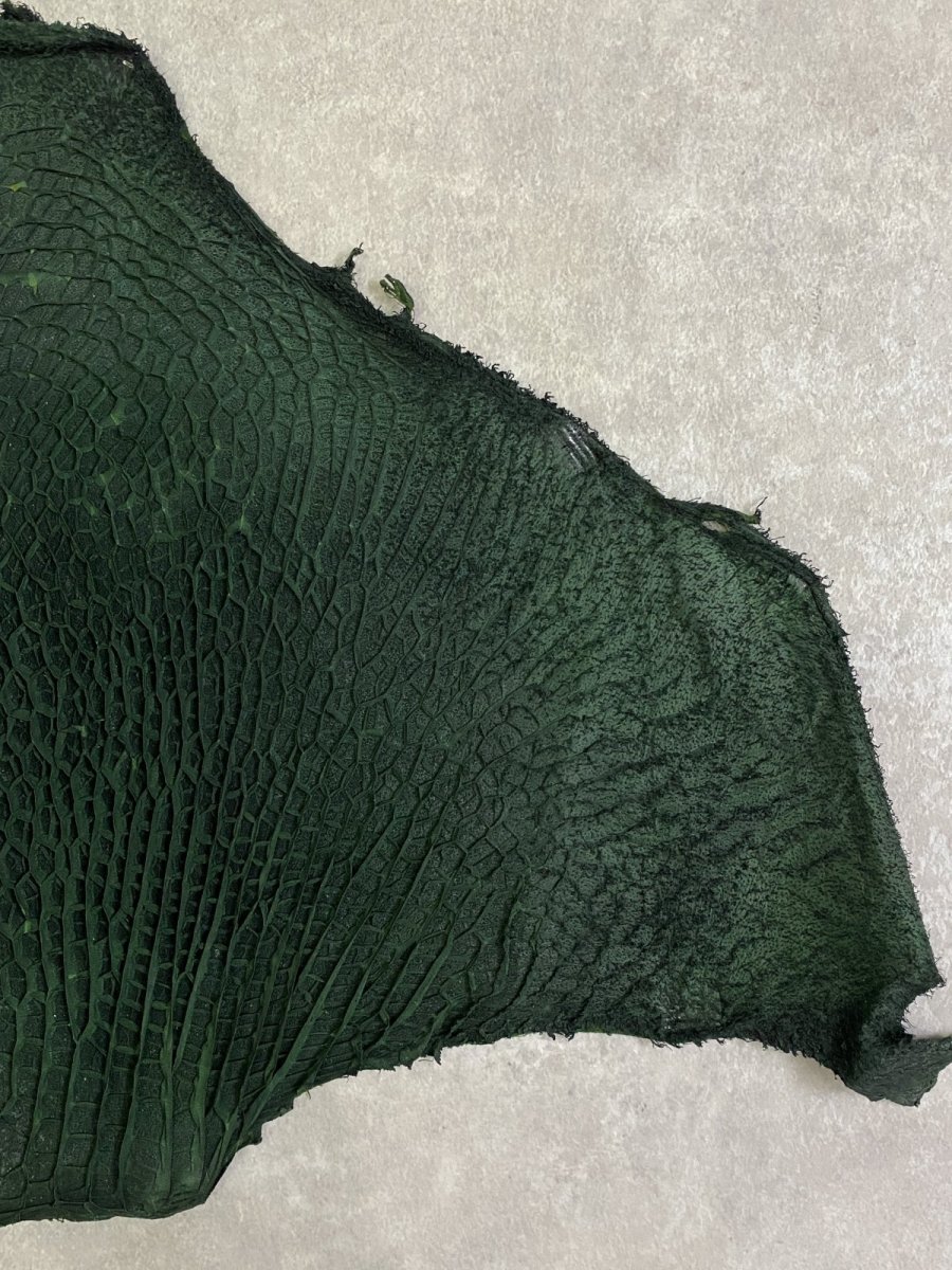 画像4: 牛革　ハチノス(牛の胃袋)　グリーン (4)