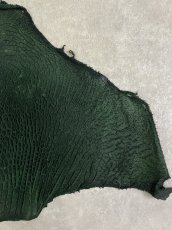 画像4: 牛革　ハチノス(牛の胃袋)　グリーン (4)