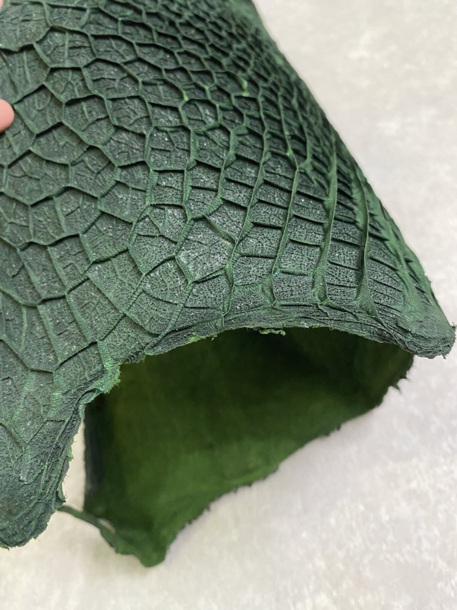 画像5: 牛革　ハチノス(牛の胃袋)　グリーン (5)