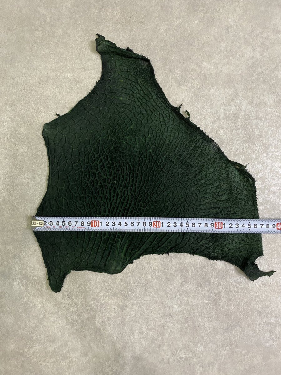 画像8: 牛革　ハチノス(牛の胃袋)　グリーン (8)