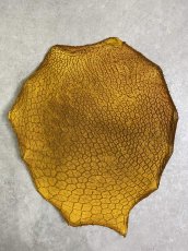 画像1: 牛革　ハチノス(牛の胃袋)　イエロー (1)