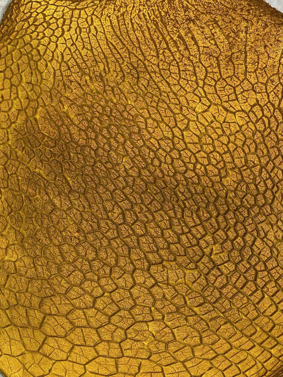 画像3: 牛革　ハチノス(牛の胃袋)　イエロー (3)