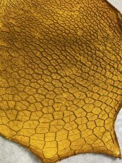 画像4: 牛革　ハチノス(牛の胃袋)　イエロー (4)