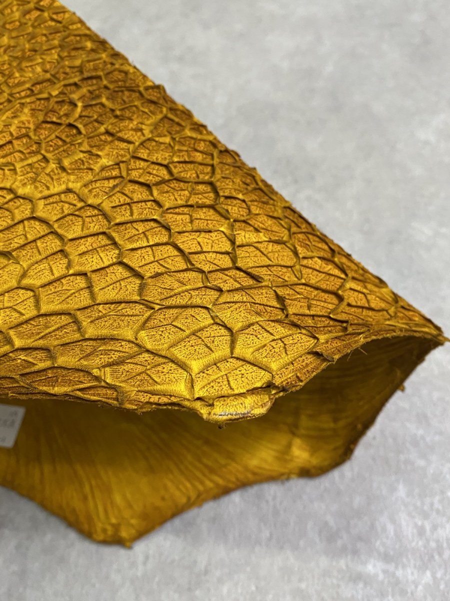 画像5: 牛革　ハチノス(牛の胃袋)　イエロー (5)