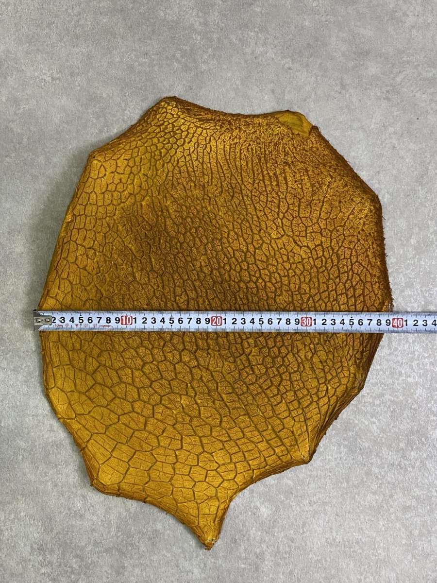 画像7: 牛革　ハチノス(牛の胃袋)　イエロー (7)