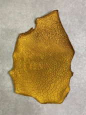 画像1: 牛革　ハチノス(牛の胃袋)　イエロー (1)