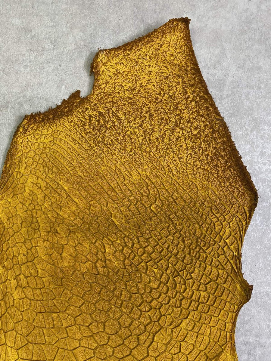 画像3: 牛革　ハチノス(牛の胃袋)　イエロー (3)