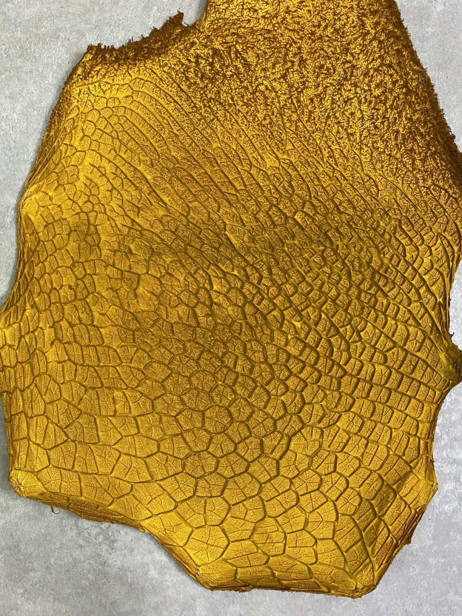 画像4: 牛革　ハチノス(牛の胃袋)　イエロー (4)