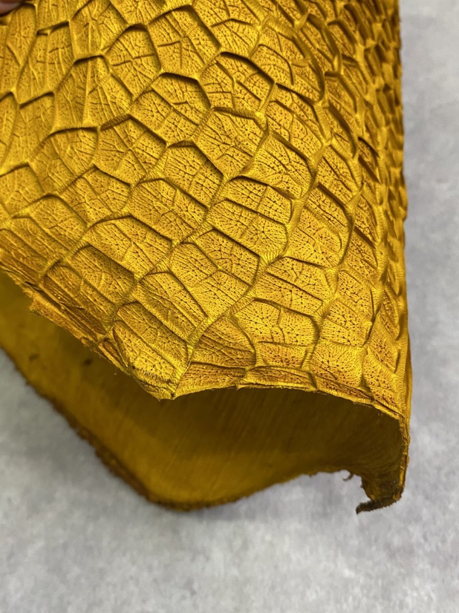 画像5: 牛革　ハチノス(牛の胃袋)　イエロー (5)