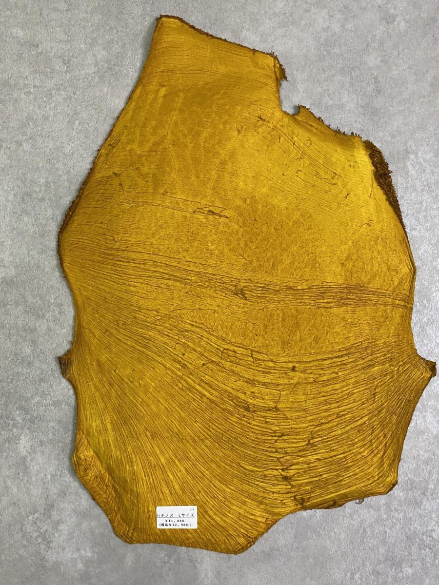 画像8: 牛革　ハチノス(牛の胃袋)　イエロー (8)