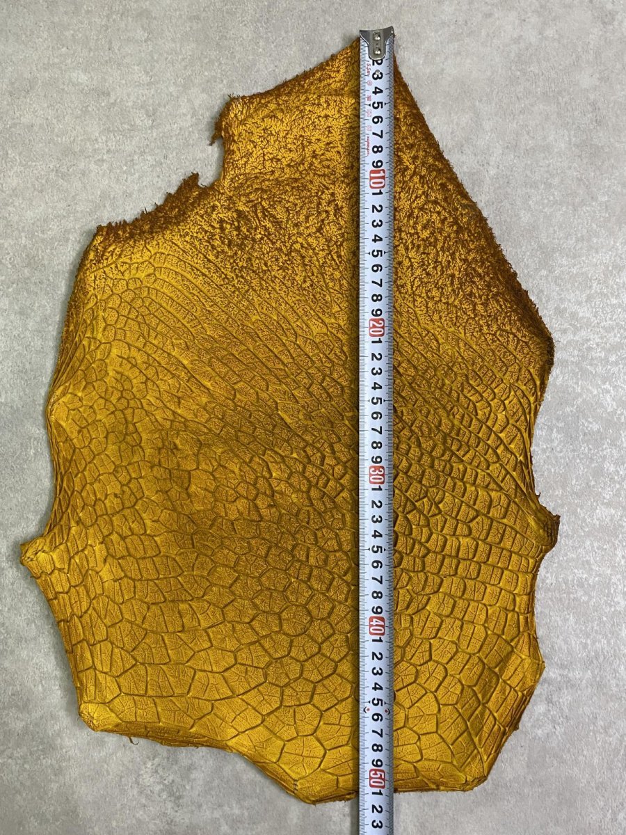 画像7: 牛革　ハチノス(牛の胃袋)　イエロー (7)