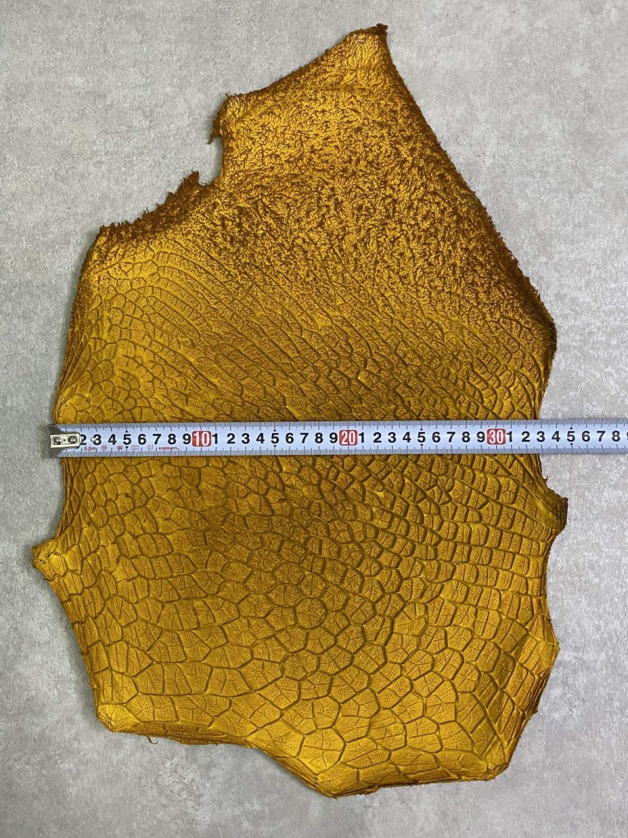 画像6: 牛革　ハチノス(牛の胃袋)　イエロー (6)