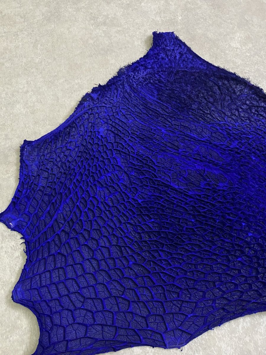 画像2: 牛革　ハチノス(牛の胃袋)　ブルー (2)