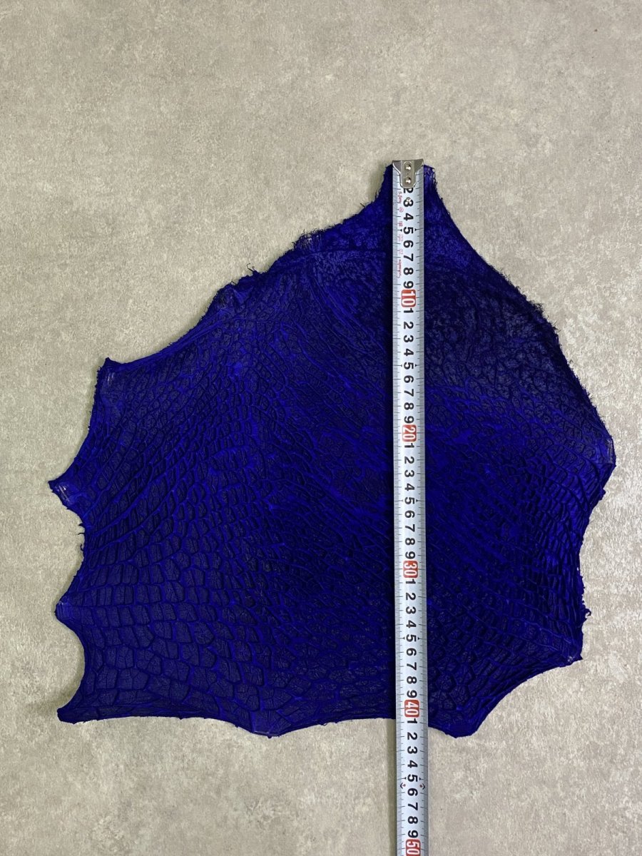 画像6: 牛革　ハチノス(牛の胃袋)　ブルー (6)