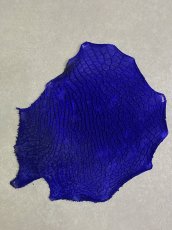 画像1: 牛革　ハチノス(牛の胃袋)　ブルー (1)