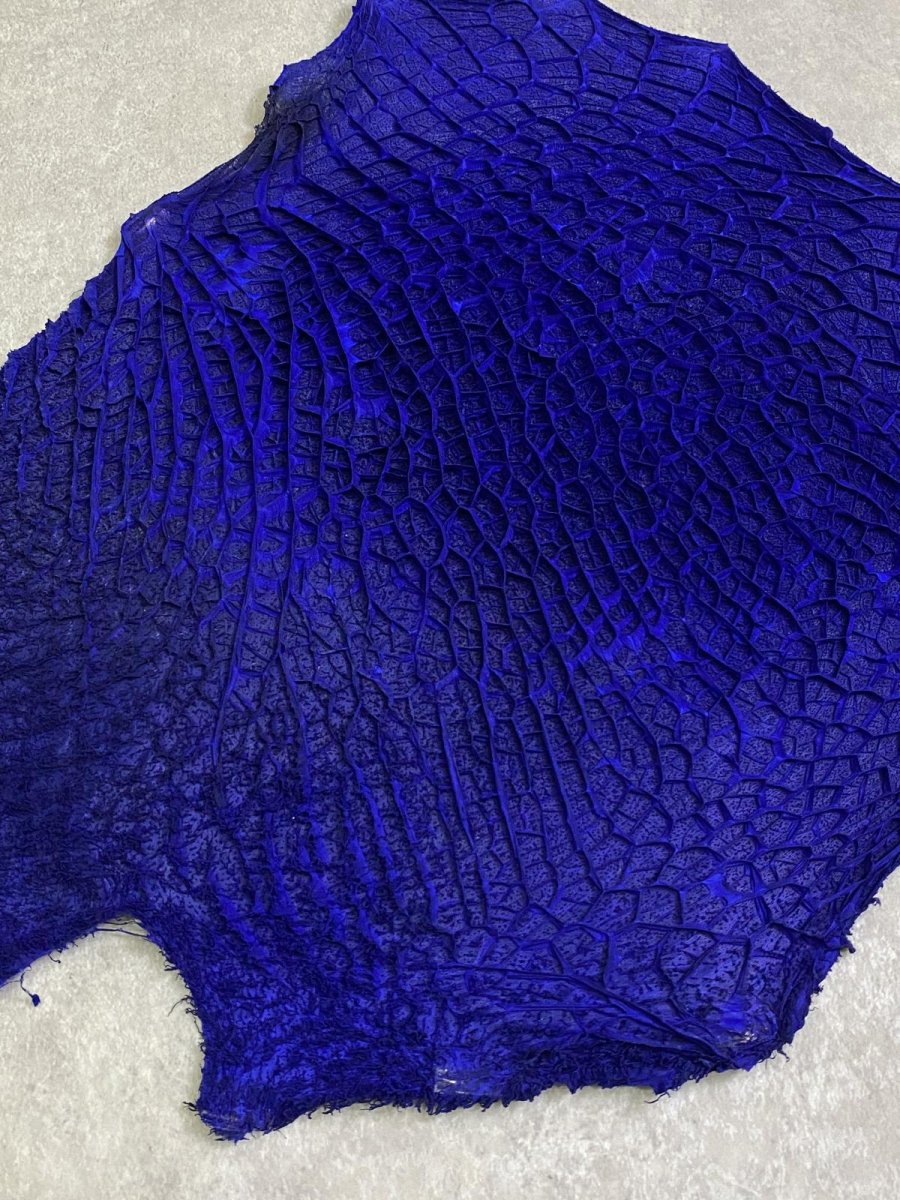 画像2: 牛革　ハチノス(牛の胃袋)　ブルー (2)