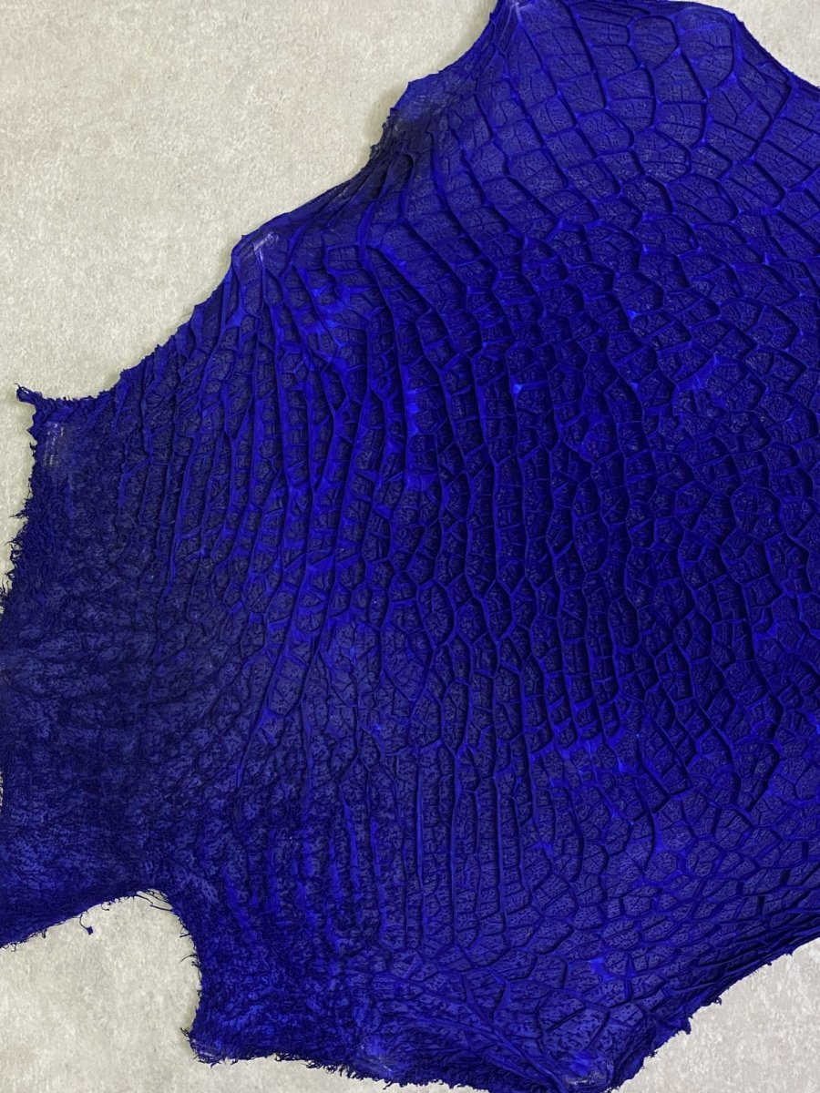 画像3: 牛革　ハチノス(牛の胃袋)　ブルー (3)