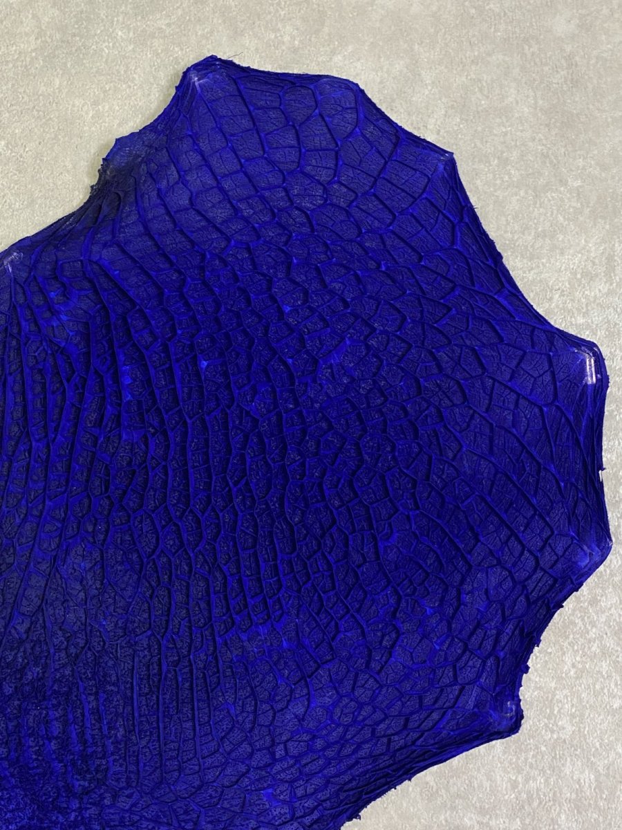 画像5: 牛革　ハチノス(牛の胃袋)　ブルー (5)