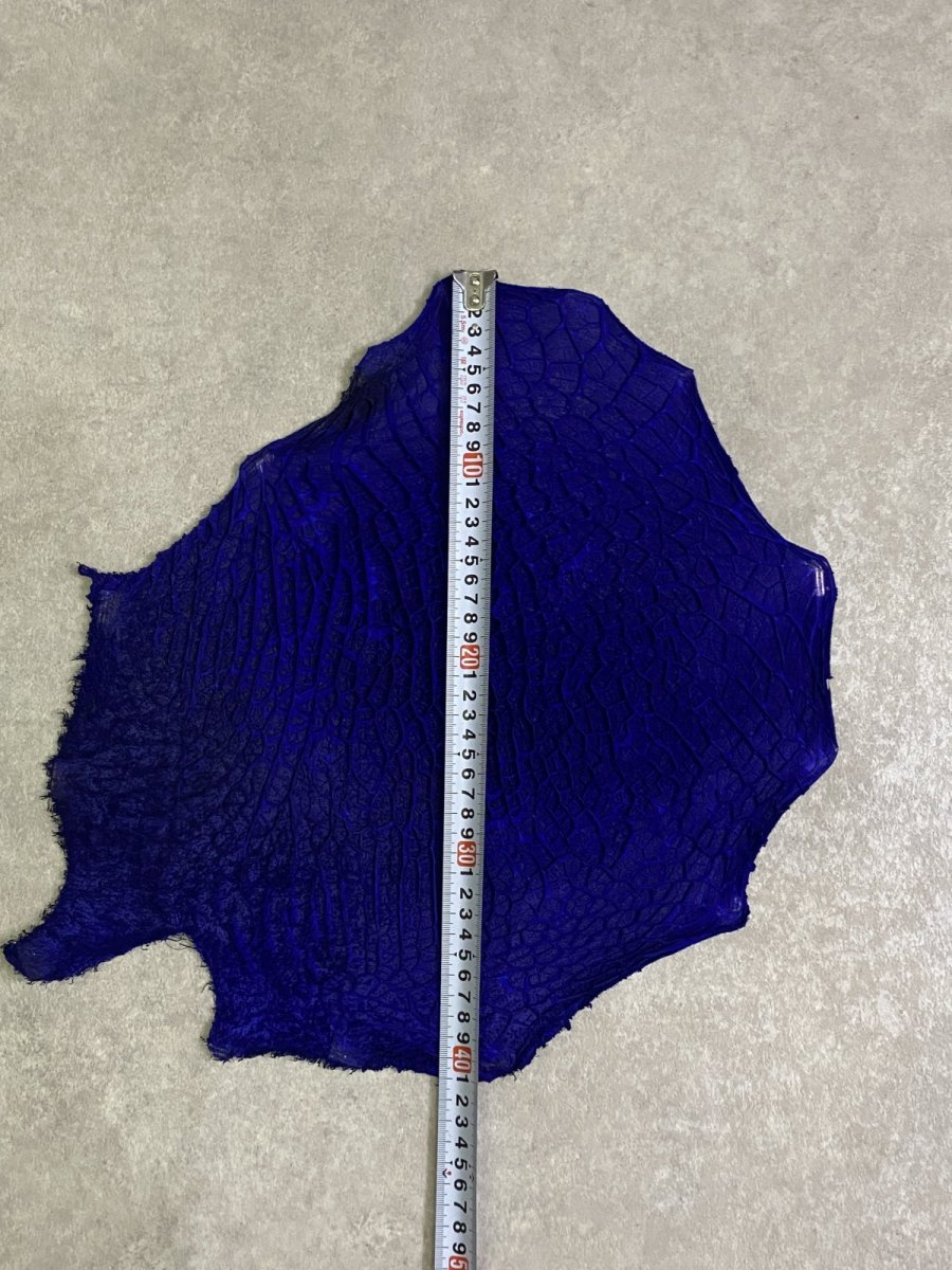 画像7: 牛革　ハチノス(牛の胃袋)　ブルー (7)