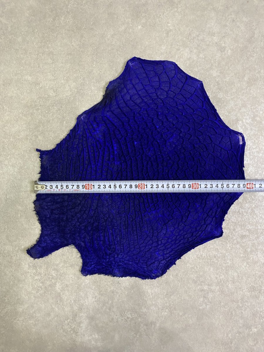 画像8: 牛革　ハチノス(牛の胃袋)　ブルー (8)