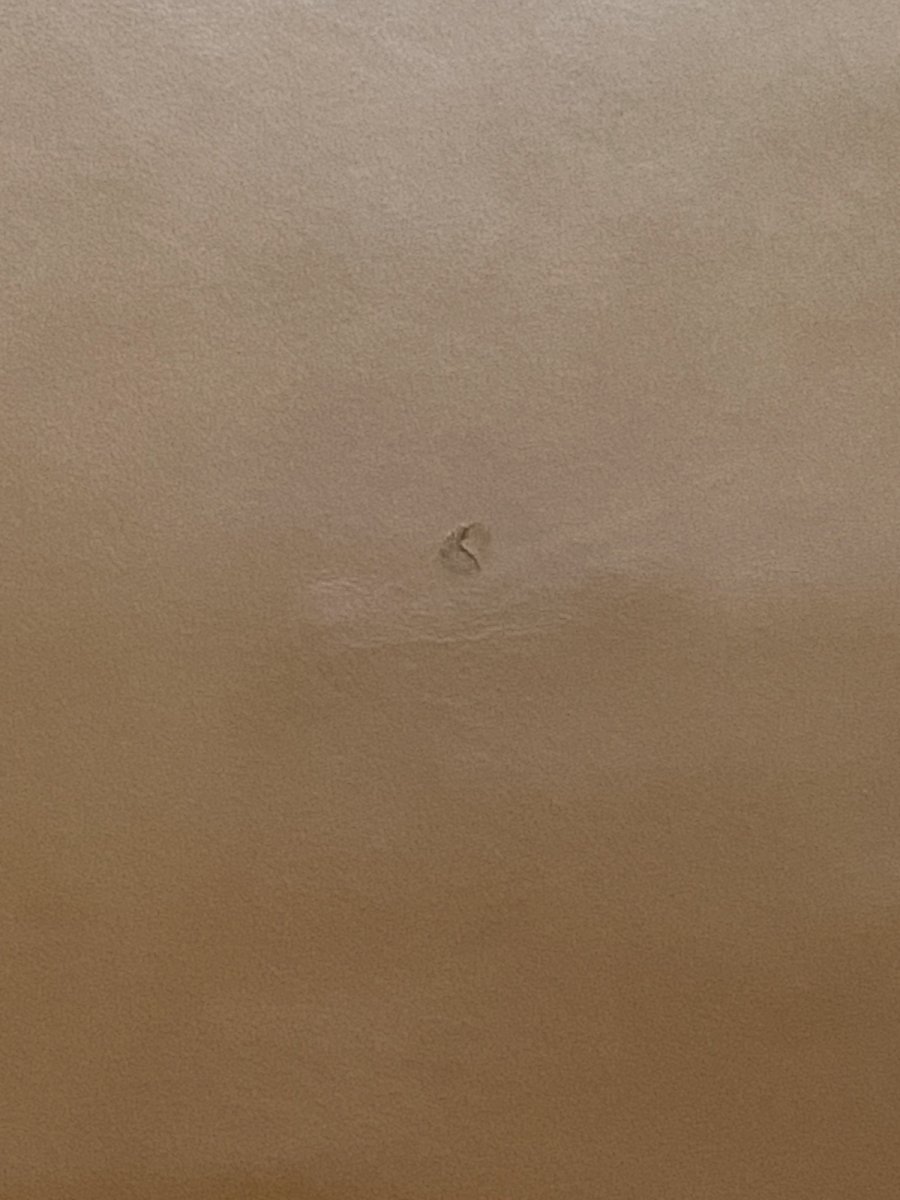 画像11: 牛革　Jスムース　ブラウン　レザー (11)