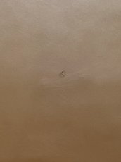 画像11: 牛革　Jスムース　ブラウン　レザー (11)