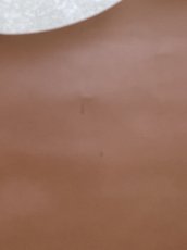 画像10: 牛革　Jスムース　ブラウン　レザー (10)