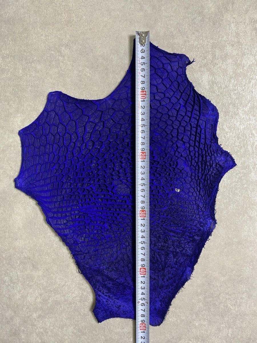 画像6: 牛革　ハチノス(牛の胃袋)　ブルー (6)