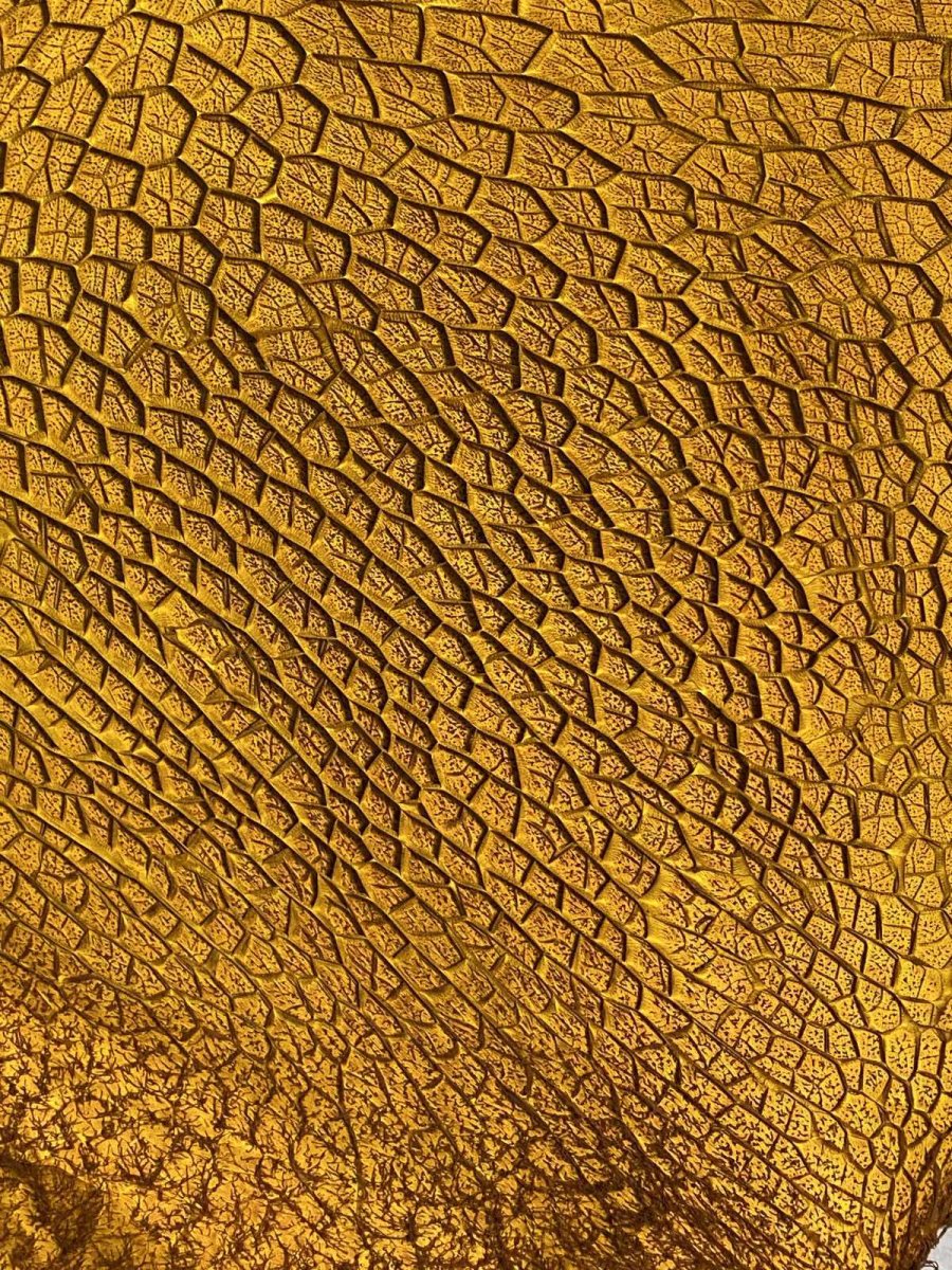 画像2: 牛革　ハチノス(牛の胃袋)　イエロー (2)